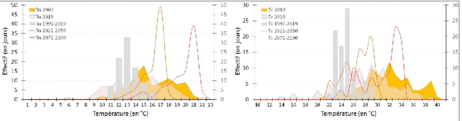 Figure 9. Variations fréquentielles des températures (à 2 m) minimales (Tn à gauche) et maximales (Tx à droite) en  été (JJA) pour les années caniculaires 2003 et 2019 ainsi que pour la normale estivale 1991-2019 (calculées à partir  de la station de Saint