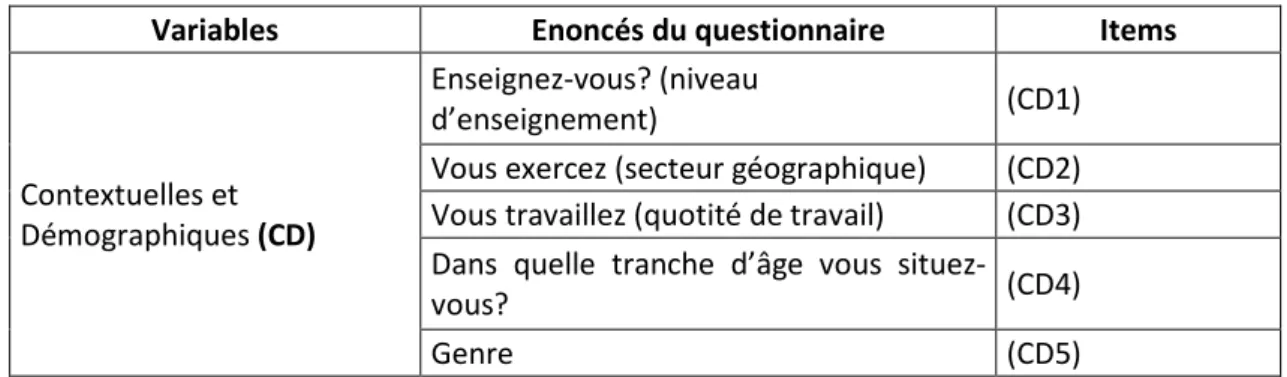 Tableau 1.1 : Items pour les variables contextuelles et démographiques 