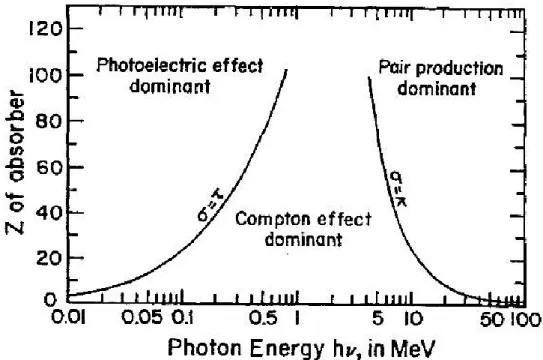FIGURE 1.5: L’importance relative des trois principaux types d'interaction  du rayonnement en fonction de l’énergie et du numéro atomique  19 
