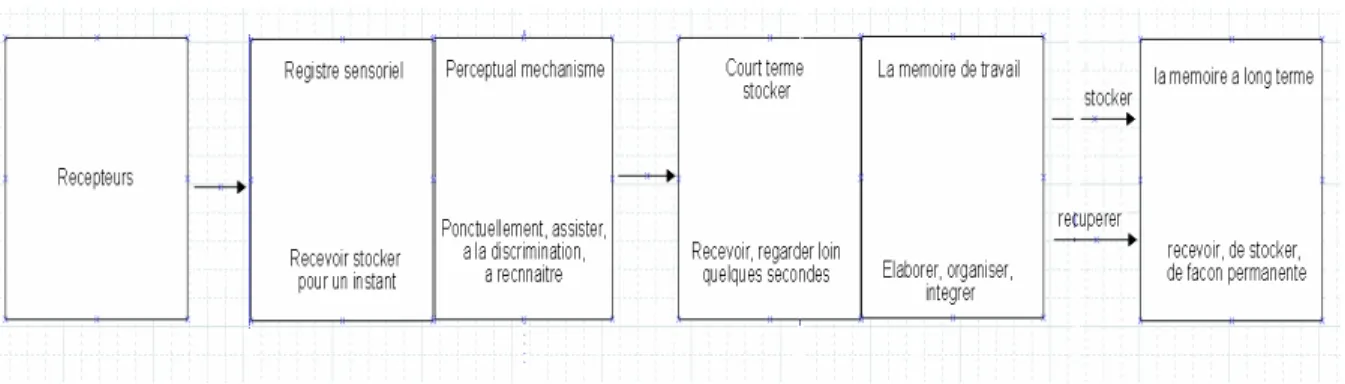 Figure 2.1 : L’architecture cognitive - humaine du processus de  l’information telle qu’indiquée par Klausmeier 