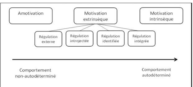 Figure 1 : Continuum de l’autodétermination d’après Deci et Ryan (2000) 