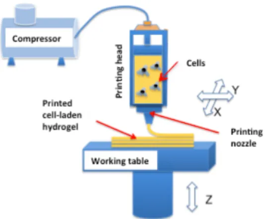 Figure 10: Schéma de 3D bioplotting (34) 