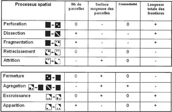 Figure 9: Mesures des processus spatiaux de structuration du paysage (adapté de Forman, 1995)