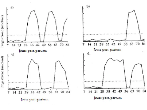 Figure 10. Illustration des différents profils de progestérone possibles en période post-partum chez la vache  laitière