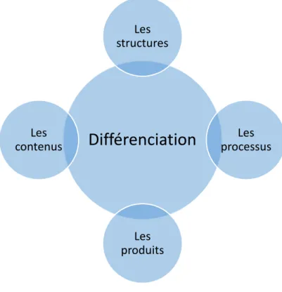 Figure 2 : Les axes de la différenciation 