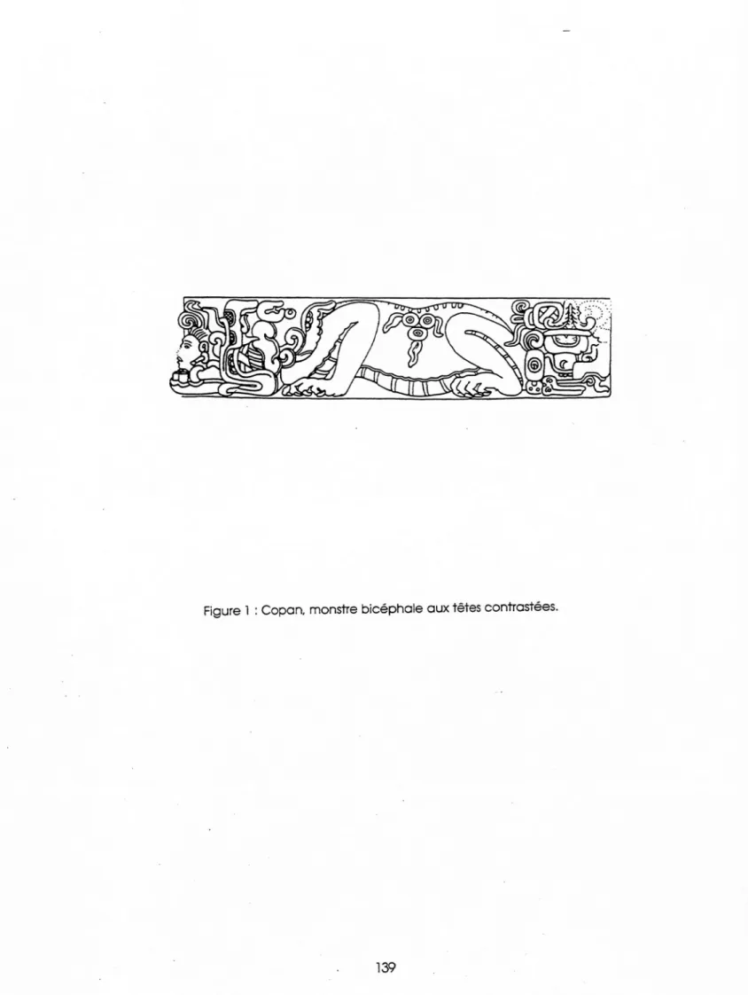 Figure  1  :  Copan,  monstre b icé p h a le  aux têtes contrastées.