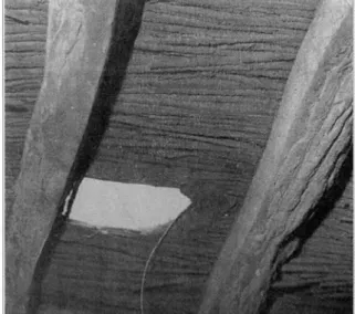 Fig.  1  :  M arüza et plafond végétal  enduit de mouna  dans une maison de  la province de  Charqia  D ’après Rizqallah et Rizqallah  1978  :  pl