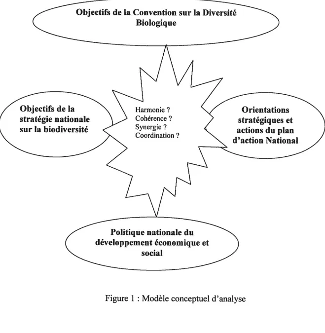 figure 1: Modèle conceptuel d’analyse