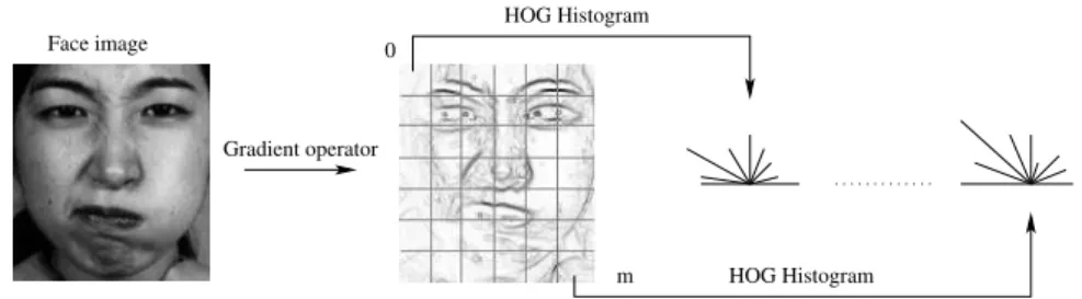 Figure 2.8. L’histogramme global d’orientation concat´ enant des HOGs locaux g´ en´ er´ es ` a partir des diff´ erentes cellules.