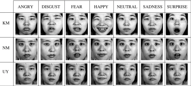 Figure 3.1. Examples from the JAFFE facial expressions database of three per- per-sons “KM”,“NM”, and “UY” acting seven facial expressions.