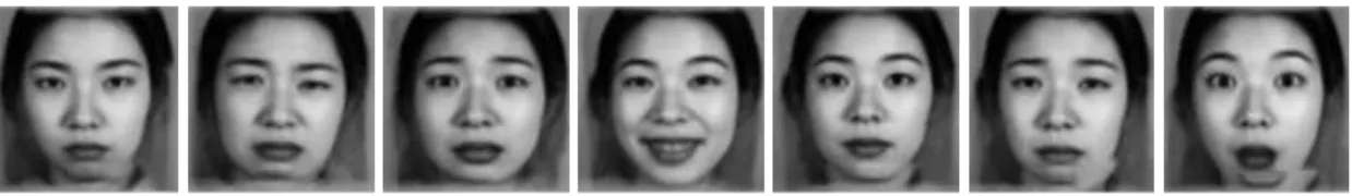 Figure 3.2. Prototypic facial expression referential models. Each reference image provides a generic representation of a prototypic facial expression.