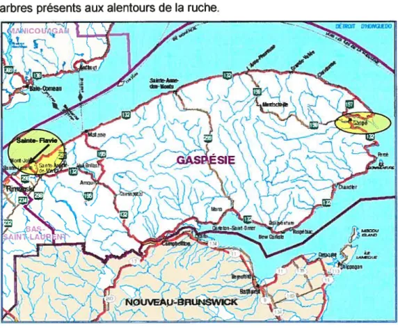 Figure 6.1 Carte géographique de la région de Gaspésie43. Les municipalités de Gaspé et de Sainte-Flavie sont indiquées par les ellipses jaunes