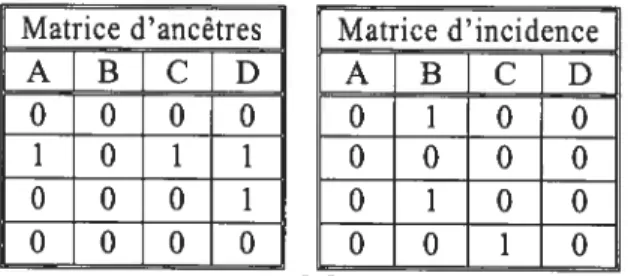 Figure 20 : Matrice d’ancêtres (MA[n]) et d’incidence du réseau de la figure 15 avant la soustraction