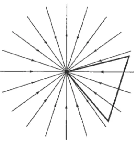 FIG. 1.3 — Rayons lumineux entrant dans une caméra sténopé.