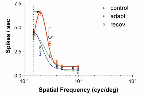 Figure 5. Exemple de plasticité pour la sélectivité à la fréquence spatiale 