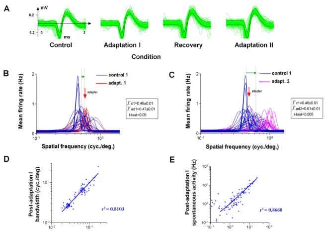 Figure 7.  Controls:  spike  waveform,  shift  significance,  bandwidth  and  spontaneous  activity 