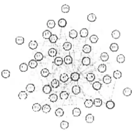 FIG. 1.1 — diagramme noeuds—liens d’un graphe non orienté comportant 50 sommets et 400 arcs