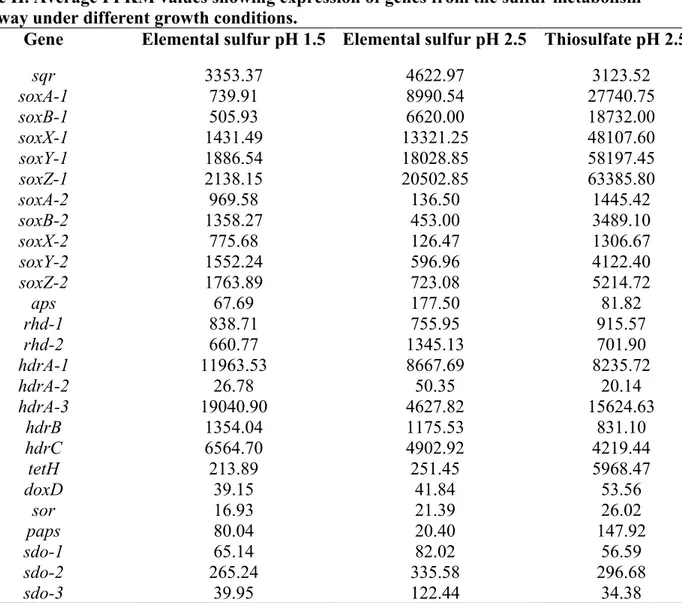 Table II. Average FPKM values showing expression of genes from the sulfur metabolism  pathway under different growth conditions.