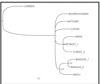 Fig. 2 : Arbre phylogénétique de la « femme-oiseau »  faisant la synthèse de tous les arbres obtenus grâce à 
