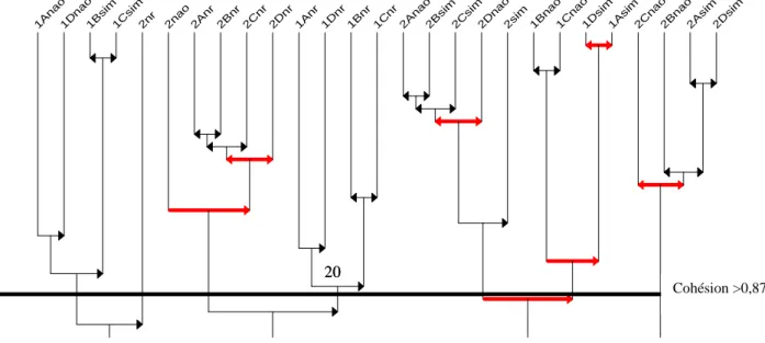 FIG 5 : Arbre cohésitif 