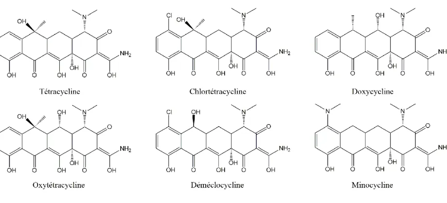 Figure 1-2. Structures de quelques tétracyclines utilisées couramment dans l’élevage porcin au Canada [42]