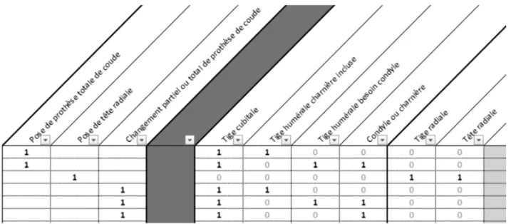 Figure 1 : Exemple de combinaisons de DMI correspondants aux actes de pose de prothèses  au niveau du coude