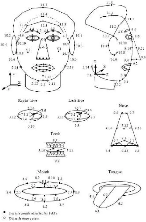 Figure 1.1 – Positionnement des paramètres de définition d’un visage (FDP) de la norme MPEG-4.