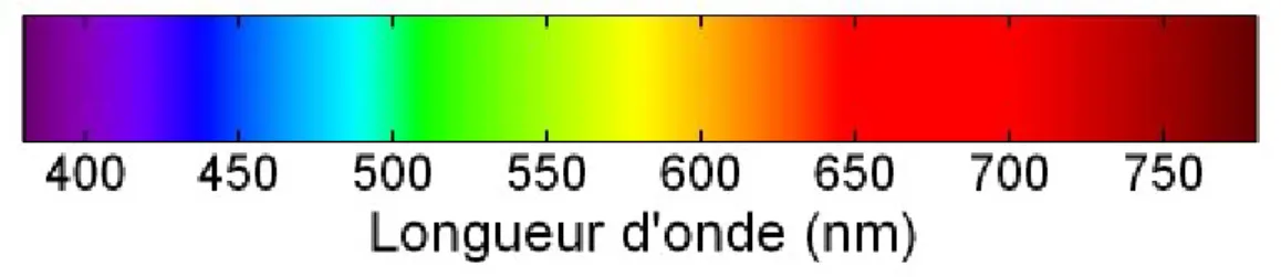 Illustration 1. Spectre visible de la lumière blanche (longueurs d'onde exprimées en nanomètre)