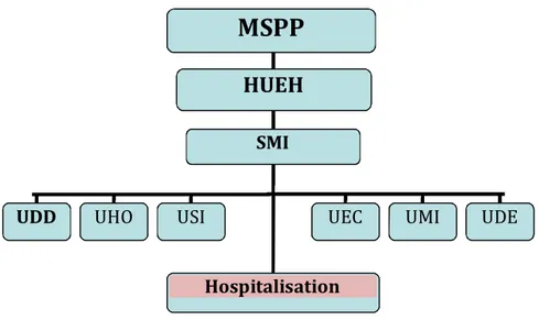 Fig. 1 – SMI / HUEH : Organigramme structurel 