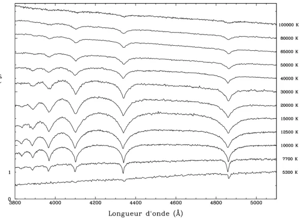 Figure 1.1 – La s´equence spectrale observ´ee dans le visible d’´etoiles naines blanches DA.