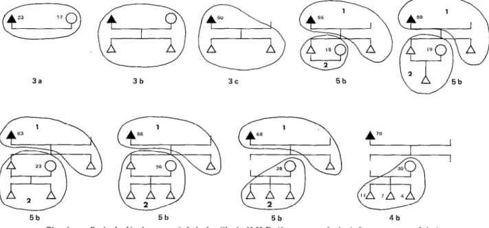 Fig.  4.  -  Cycle  de dkeloppement  de la  famille  do K.N.H.  (1 : noyau  principal,  2  : noyau  secondaire)