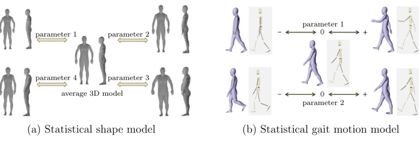 Figure 2.15: Two statistical models employed in [131]. Each model consists of an average model and adjustable parameters: (a) changing parameters leading to different body shapes (e.g