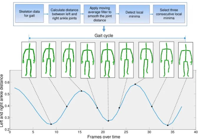 Figure 2.23: Gait cycle separation based on distance between left and right ankles [2].