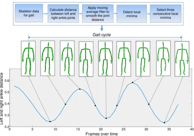 Figure 2.23: Gait cycle separation based on distance between left and right ankles [2].