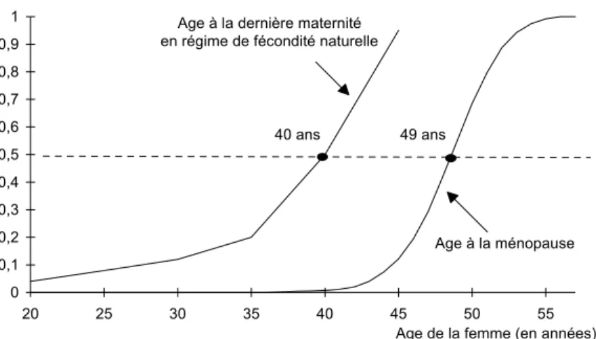 Figure 1.- Répartition de l’âge à la ménopause (données lissées de Tréolar, 1974)   Répartition de l’âge à la dernière maternité (Henry, 1961) 