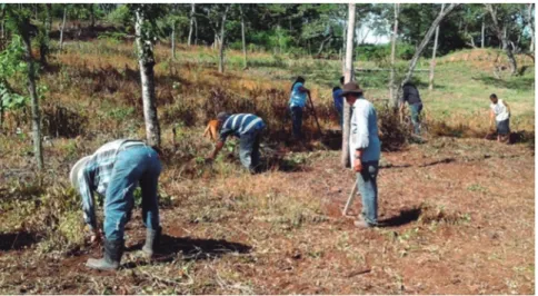 Foto 1. Preparación manual del terreno, comunidad San José, Cacaopera, Morazán.