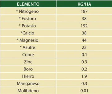 Cuadro 4. Elementos nutritivos necesarios para  el maíz ELEMENTO KG/HA * Nitrógeno 187 * Fósforo 38 * Potasio 192 *Calcio 38 * Magnesio 44 * Azufre 22 Cobre 0.1 Zinc 0.3 Boro 0.2 Hierro 1.9 Manganeso 0.3 Molibdeno 0.01