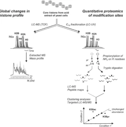 Figure 3.1: Overview of the two-pronged analytical strategy combining protein  identification and data mining approaches  