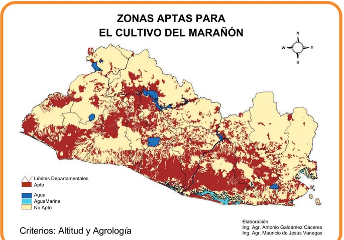 Figura 3:  Mapa de áreas potenciales para el cultivo de marañón