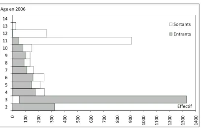 Figure 7. Structure par âge des migrants scolaires 