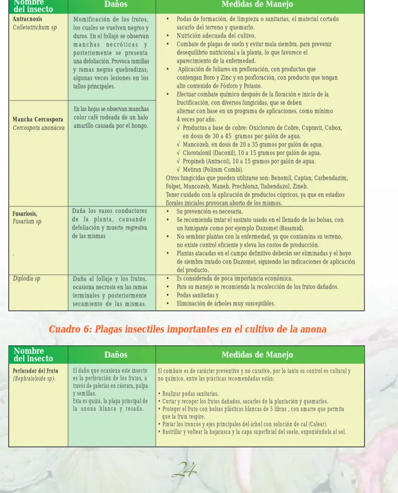 Cuadro 6: Plagas insectiles importantes en el cultivo de la anonaCuadro 5: Enfermedades más frecuentes e importancia de la anona