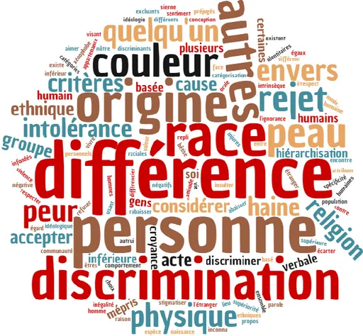 Figure 4. Les enjeux de la lutte contre le racisme selon les professeurs des écoles. 