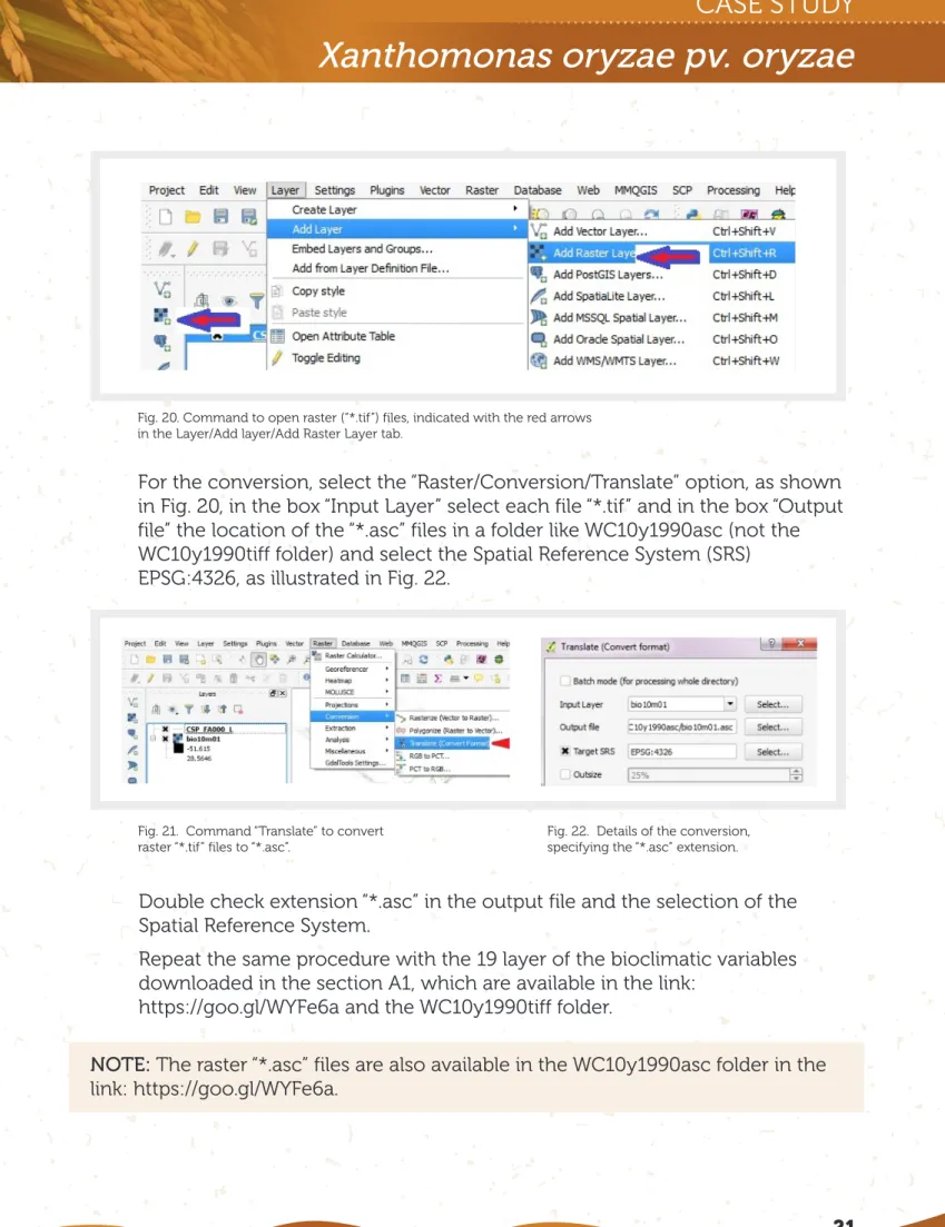 Fig. 20. Command to open raster (“*.tif”) files, indicated with the red arrows  in the Layer/Add layer/Add Raster Layer tab.