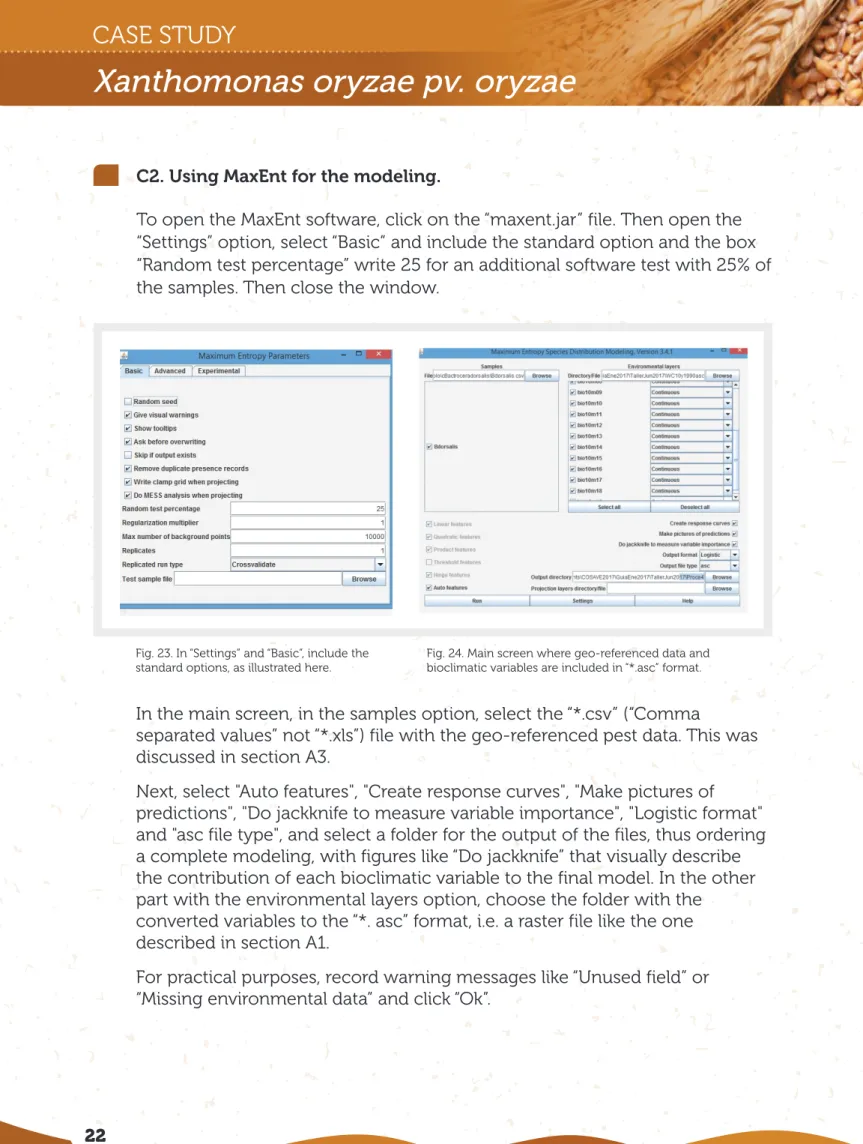 Fig. 23. In “Settings” and “Basic”, include the  standard options, as illustrated here.