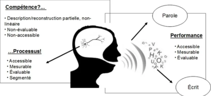 Tableau 2 : Représentation des rapports entre les notions de « processus/compétence/performance » 