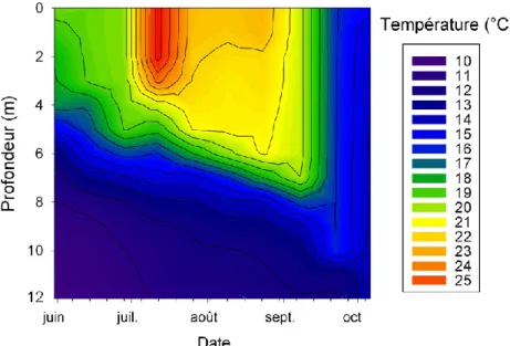 Figure 3. Variation de la température de l'eau selon la profondeur et la date d’échantillonnage à la fosse principale en  2010