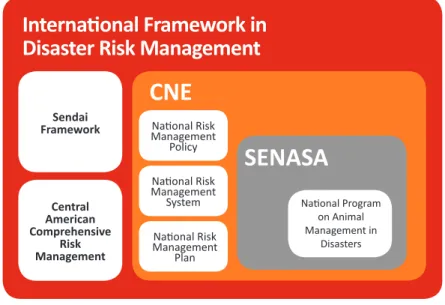 Figure 3. Framework of Action by SENASA in Disaster Risk Management