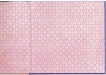 Figure 4 - Page consacrée à Grand Jim  Figure 5 - Page consacrée à Annabelle Figure 2 - garde de couleur bleue Figure 3 - garde de couleur rose 