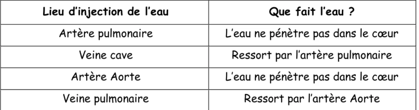 Figure 1. Schéma bilan sur la circulation sanguine, distribué et complété en classe