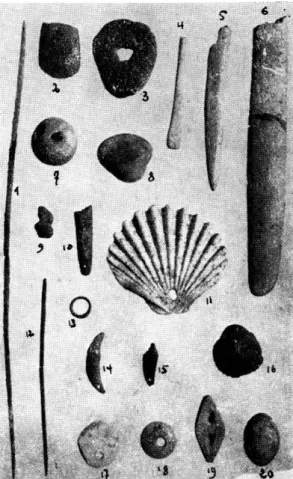 Fig.  12.  —  Outillage  lithique  et,  osseux,  coquillages,  objets  métalliques. 